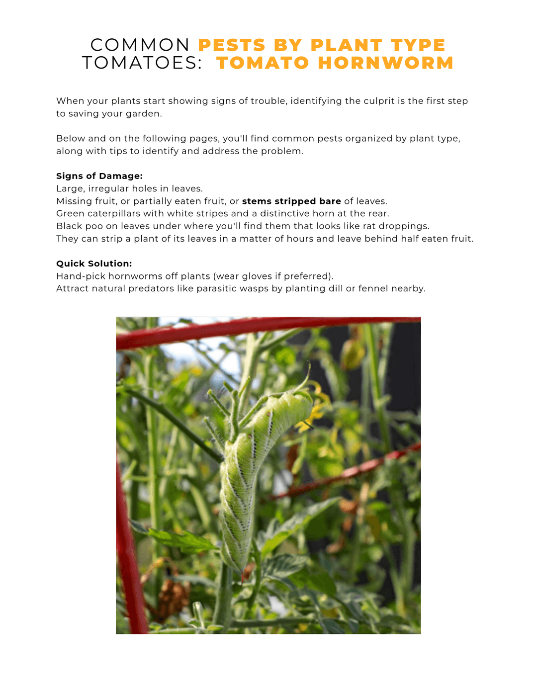 book page 3