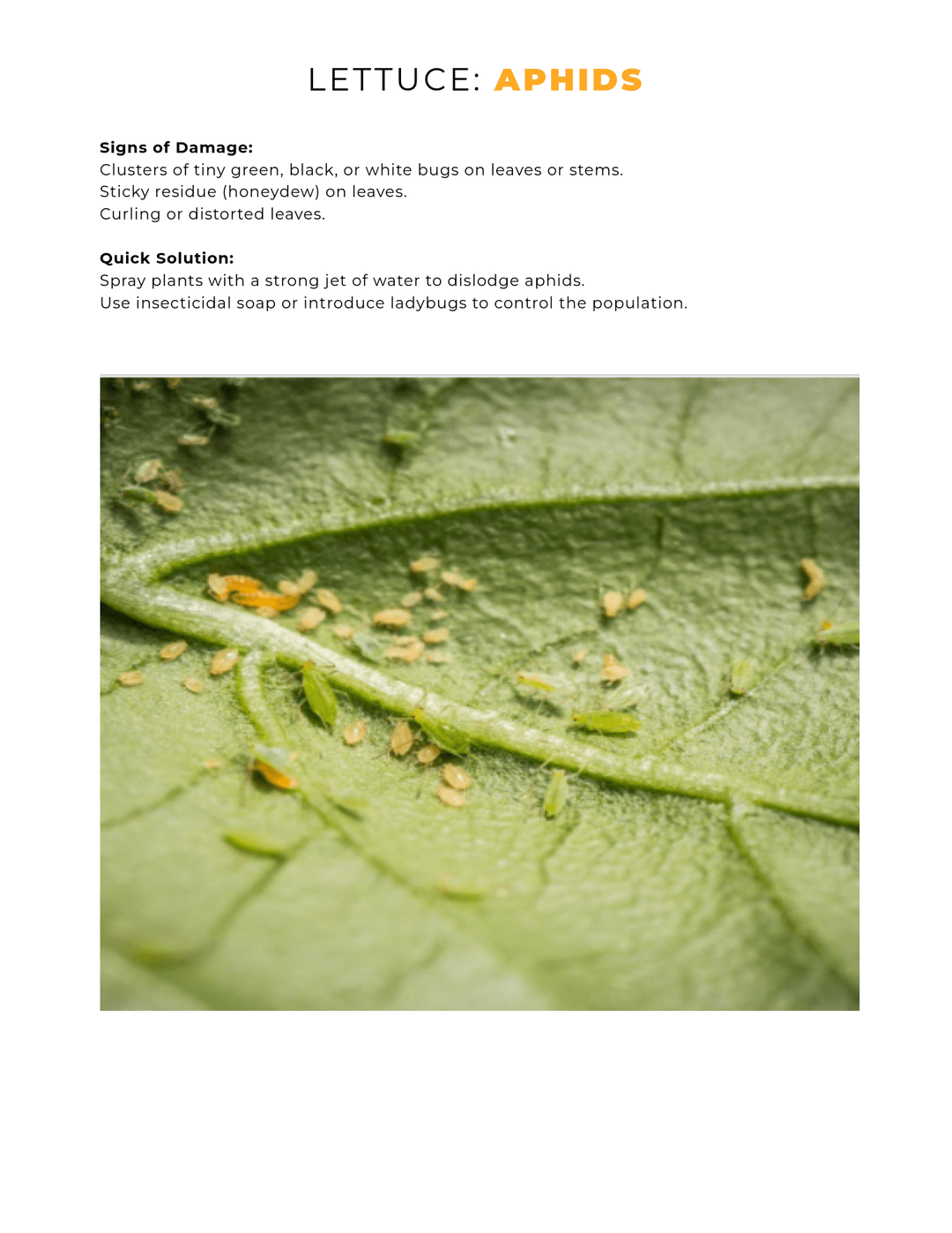 book page 5