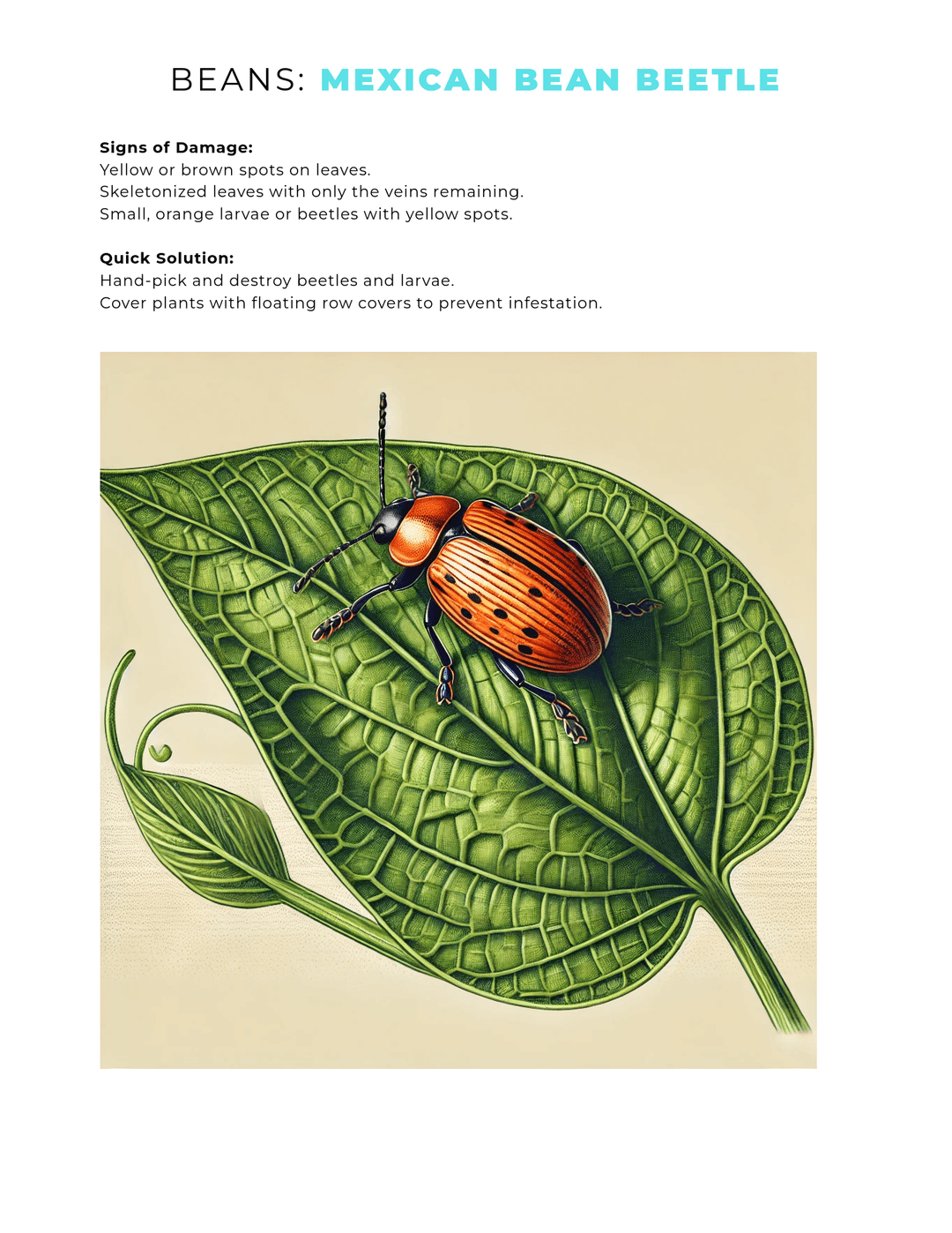 book page 6