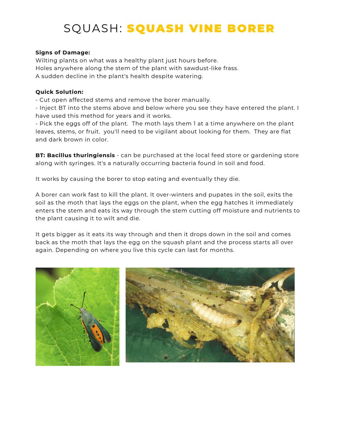 book page 4