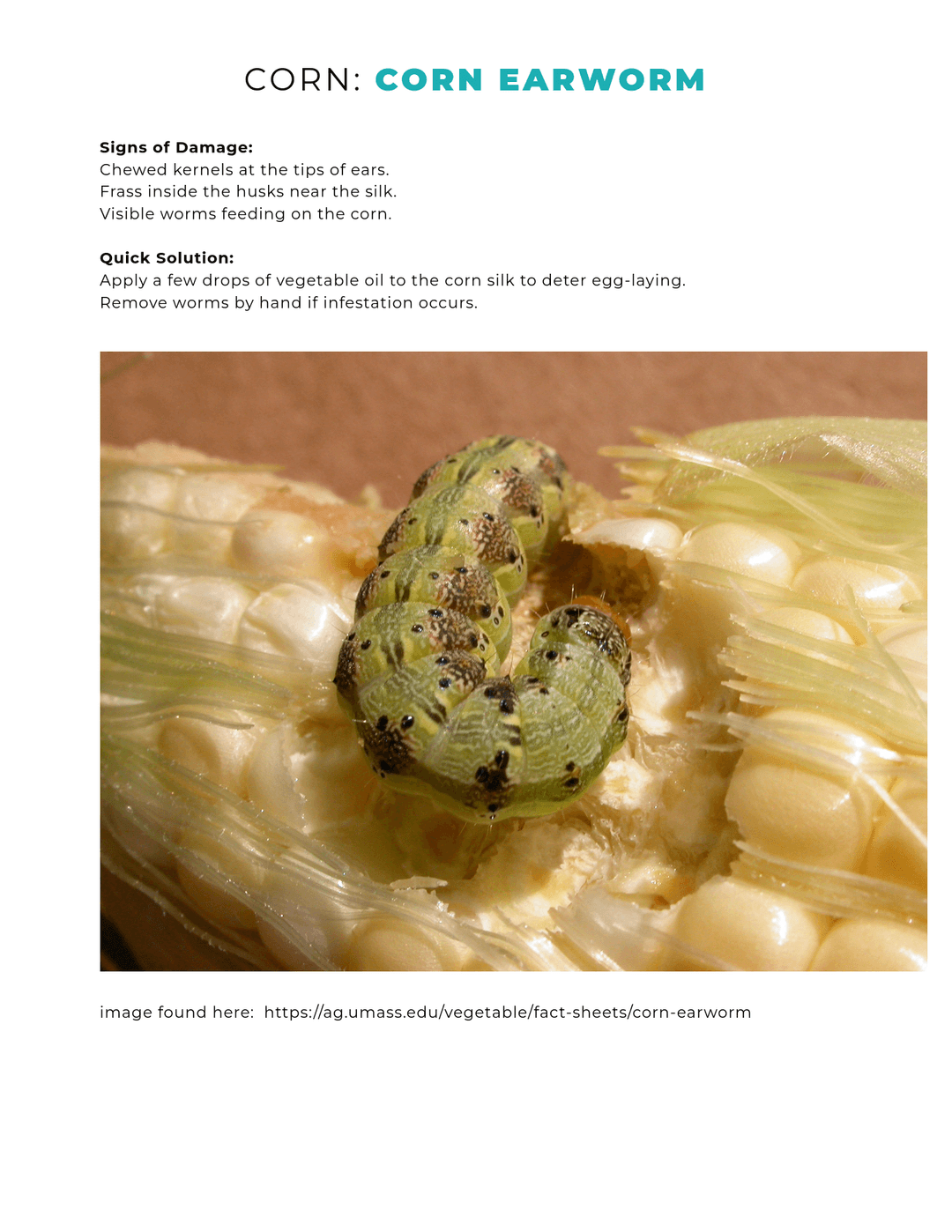 book page 7